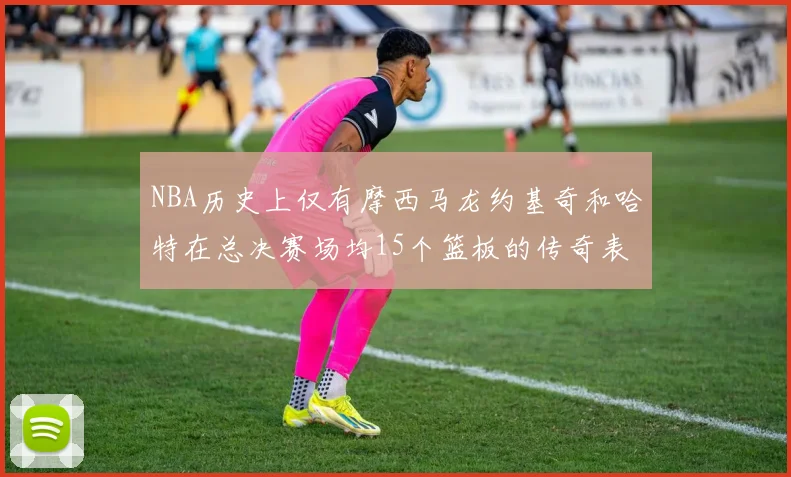 NBA历史上仅有摩西马龙约基奇和哈特在总决赛场均15个篮板的传奇表现